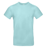 Ice Mint (4H)