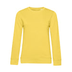 Yellow Fizz (2E)